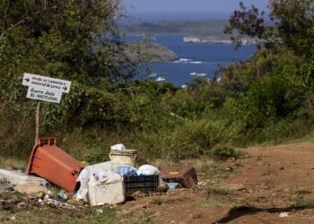 Estudo encontra poluição por esgoto em Fernando de Noronha – 02/02/2025 – Ambiente