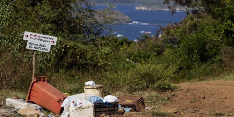 Estudo encontra poluição por esgoto em Fernando de Noronha – 02/02/2025 – Ambiente