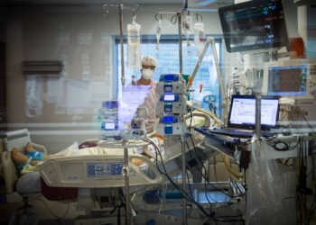 Censo IBGE: mais de 75% dos médicos são brancos no Brasil – 26/02/2025 – Educação