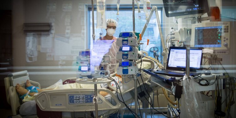 Censo IBGE: mais de 75% dos médicos são brancos no Brasil – 26/02/2025 – Educação