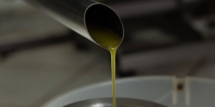 Azeite foi líder em falsificações em 2024; veja quais são – 16/03/2025 – Mercado