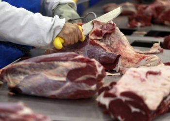 Demanda externa amplia valor da carne brasileira – 24/03/2025 – Vaivém