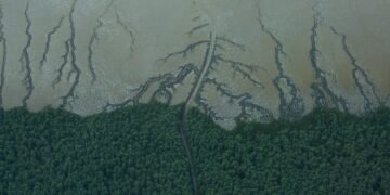 Foz do Amazonas: Técnicos do Ibama indicam negar licença – 27/02/2025 – Ambiente