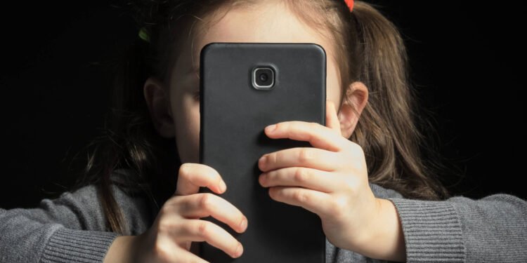 O que significa segurança na internet? – 13/02/2025 – Educação