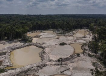 Garimpo superou área de mineração industrial no Brasil – 28/02/2025 – Ambiente