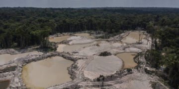 Garimpo superou área de mineração industrial no Brasil – 28/02/2025 – Ambiente