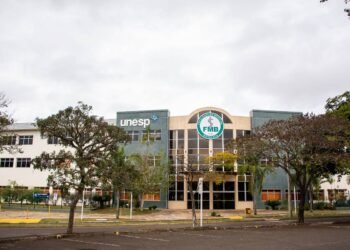 Cuidados paliativos após AVC ajuda pacientes, diz Unesp – 24/03/2025 – Equilíbrio e Saúde