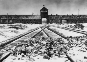 Banalização do Holocausto reduz impacto de Crematório Frio – 21/03/2025 – Ilustrada