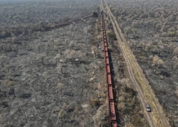 Pesquisadores apontam falhas na Ferrogrão – 19/03/2025 – Mercado