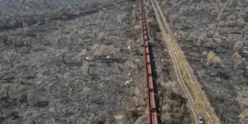 Pesquisadores apontam falhas na Ferrogrão – 19/03/2025 – Mercado