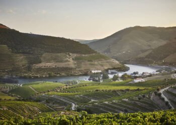 Portugal aumenta investimento em roteiros gastronômicos – 19/02/2025 – Turismo