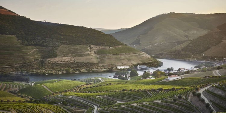 Portugal aumenta investimento em roteiros gastronômicos – 19/02/2025 – Turismo