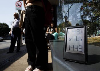 Mudanças no clima lembram do cuidado bíblico com natureza – 11/03/2025 – Cotidiano