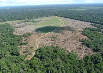 STF decide que multa por crime ambiental é imprescritível – 27/03/2025 – Ambiente