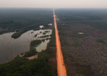 COP30: as duras críticas às políticas ambientais do Brasil publicadas em importante jornal científico – 20/03/2025 – Ambiente