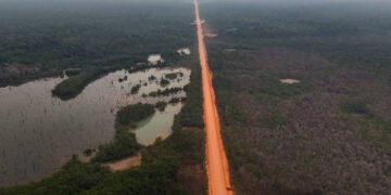 COP30: as duras críticas às políticas ambientais do Brasil publicadas em importante jornal científico – 20/03/2025 – Ambiente