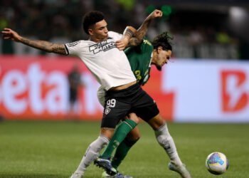 Onde assistir Palmeiras x Botafogo; veja destaques da TV – 30/03/2025 – Esporte