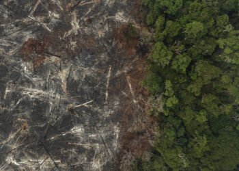 Desmatamento na amazônia tanto aumenta quanto reduz chuva – 07/03/2025 – Ambiente