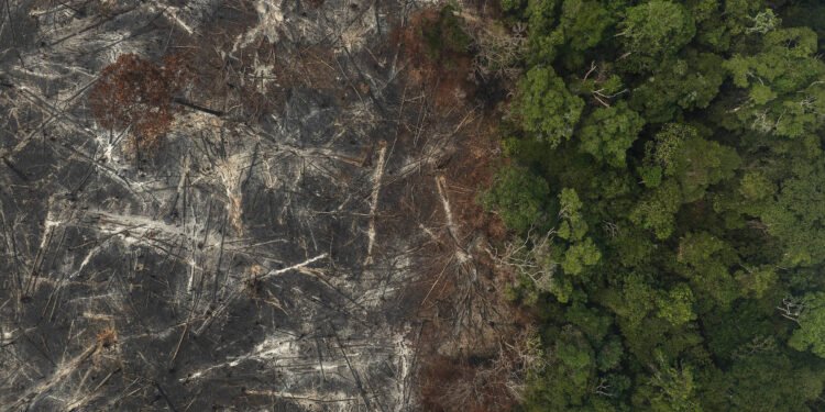 Desmatamento na amazônia tanto aumenta quanto reduz chuva – 07/03/2025 – Ambiente