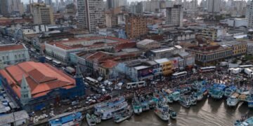 COP30: Entidade é contratada por R$ 499 mi em preparativos – 28/02/2025 – Ambiente