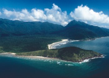 Ilha do Cardoso é refúgio preservado da mata atlântica – 08/01/2025 – Turismo