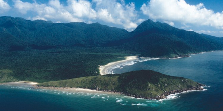 Ilha do Cardoso é refúgio preservado da mata atlântica – 08/01/2025 – Turismo