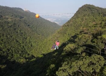 Parque da Serra do Mar terá unidade de combate a incêndio – 16/01/2025 – Ambiente