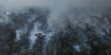 Veja locais do Brasil com maior risco de incêndios em 2025 – 27/02/2025 – Ambiente