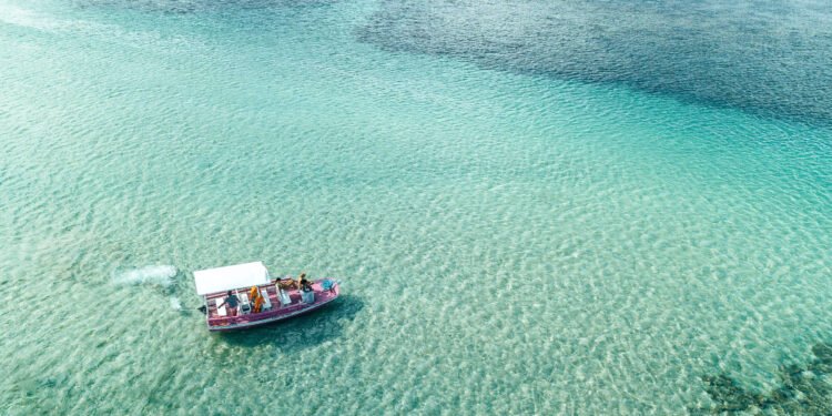 3 dias em Maceió em arredores: o que visitar – 04/02/2025 – Turismo