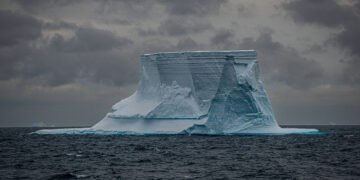 Partes da Antártida podem virar sumidouros de carbono – 20/03/2025 – Ambiente