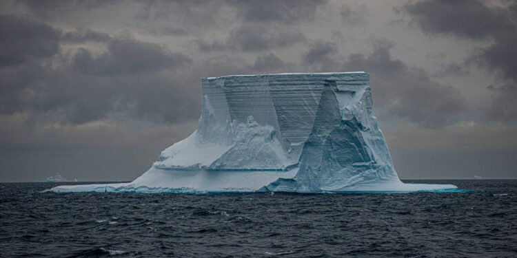 Partes da Antártida podem virar sumidouros de carbono – 20/03/2025 – Ambiente