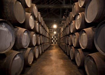 Conheça as categorias do vinho do Porto – 21/02/2025 – Turismo