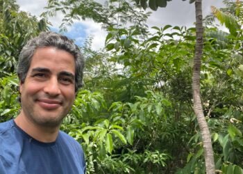 Árvores são prioridade como água e energia, diz botânico – 26/02/2025 – Folha Social+