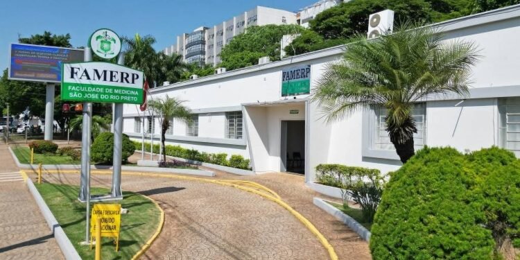 Alunos da Famerp aplicam golpe em calouros – 24/02/2025 – Educação