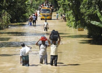 Migrantes climáticos bengalis sofrem abusos no golfo Árabe – 24/02/2025 – Ambiente
