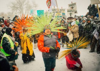 Greenpeace é julgado nos EUA e enfrenta risco de falência – 24/02/2025 – Ambiente