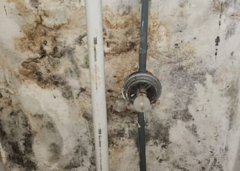 USP: Moradores deixam Crusp por infiltrações e mofo – 25/02/2025 – Educação