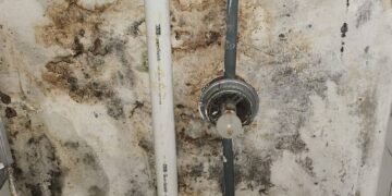 USP: Moradores deixam Crusp por infiltrações e mofo – 25/02/2025 – Educação