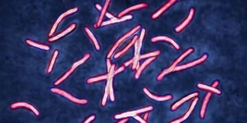 IA soluciona em dois dias questão sobre superbactérias – 25/02/2025 – Ciência