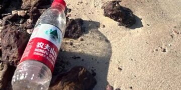 A água chinesa que você nunca bebeu, mas estraga sua praia preferida – 27/02/2025 – Ambiente