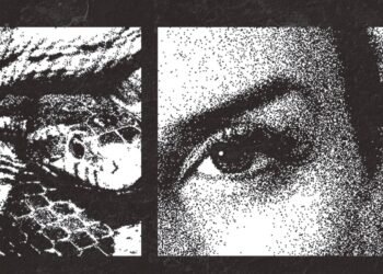 ‘Narcas’ mapeia mulheres no narcotráfico na América Latina – 15/03/2025 – Mundo