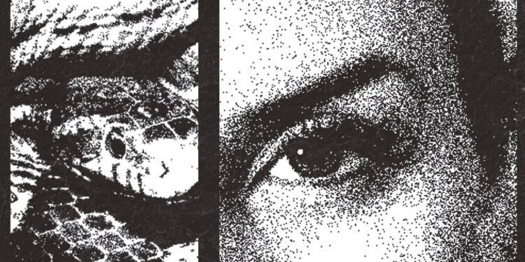 ‘Narcas’ mapeia mulheres no narcotráfico na América Latina – 15/03/2025 – Mundo