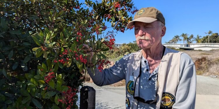 Guia cego domina com toque, cheiro e som paisagem nos EUA – 05/03/2025 – Ambiente