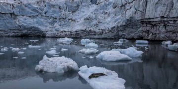 Gelo marinho nos oceanos atinge menor marca já registrada – 06/03/2025 – Ambiente