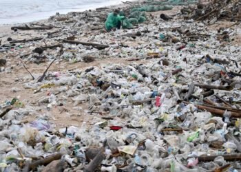 Nova rodada de negociações sobre plástico será em agosto – 06/03/2025 – Ambiente