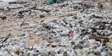 Nova rodada de negociações sobre plástico será em agosto – 06/03/2025 – Ambiente