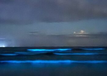 Onda ‘azul’ em Ubatuba vem de microrganismos; veja fotos – 09/03/2025 – Ambiente