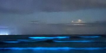 Onda ‘azul’ em Ubatuba vem de microrganismos; veja fotos – 09/03/2025 – Ambiente