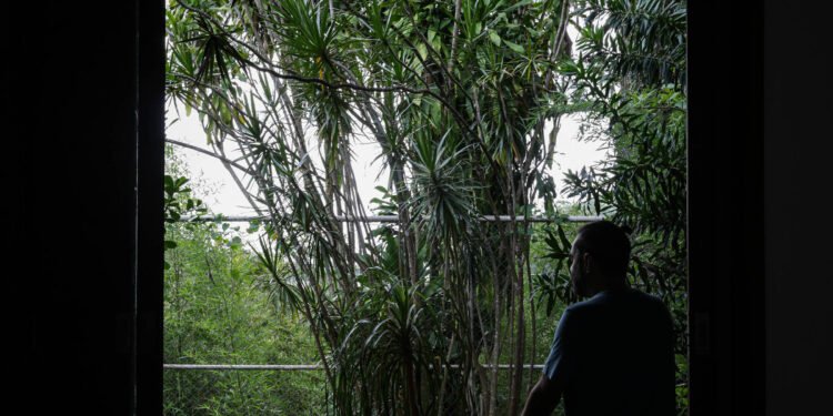 Alcoolismo: Abstinência e redução de danos são estratégias – 11/03/2025 – Equilíbrio e Saúde