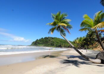 Itacaré, na Bahia, vira referência para surfistas – 10/03/2025 – Turismo